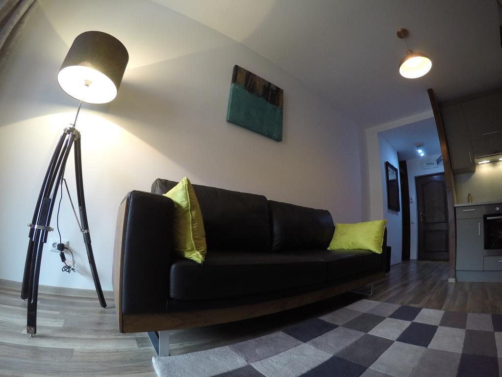 Duplex Apartment Busteni Exterior photo